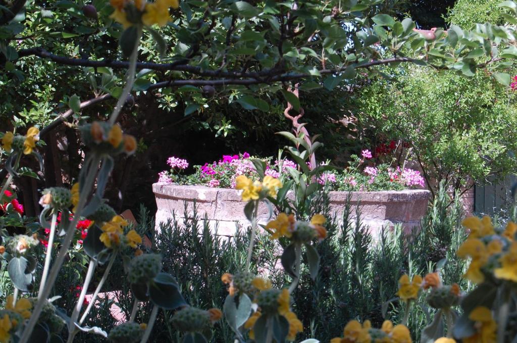 Il Giardino Segreto Pienza Exterior foto